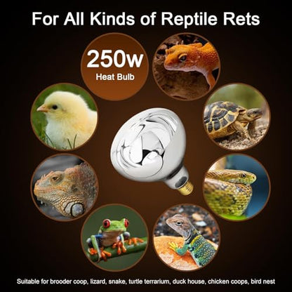 250W Heat Lamp Clear Infrared Bulbs, Flood Light Heat Lamp Bulb for Food Service, Brooder Bulb, Chicks, Pet, Bathroom, Light Therapy Use, Glass, 2 Pack - style: Clear-250W-2Pack