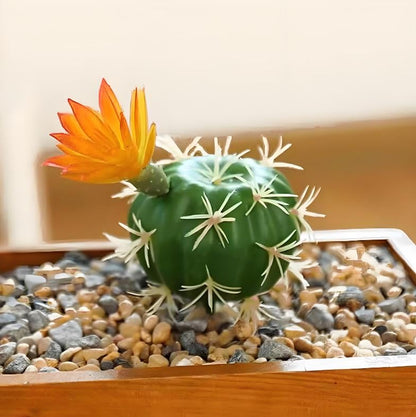 Fake Reptile Plants, Desert Reptile Plants Succulent kit, Reptile Terrarium Decorative, 4 Pcs, Faux Cactus Plants for Bearded Dragon Tank Decor, Cactus Terrarium Decor