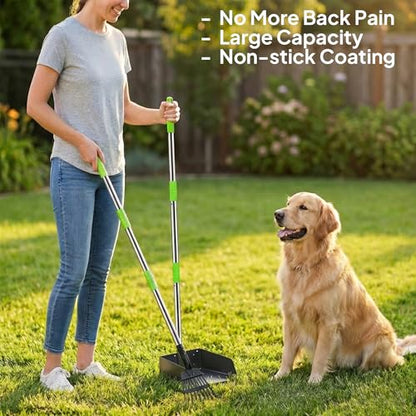 Pooper Scooper for Dogs, Metal Poop Scooper Tray and Rake Set with Adjustable Long Handle, Dog Pooper Scooper for Pet Waste Removal - color: Silver & Green