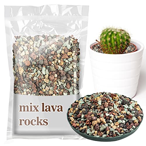 Sukh Mix Horticultural Lava Pebbles - Cactus Potting Soil Amendment 1LB | Horticultural Rocks, Succulent Cactus Bonsai Soil Rocks for Terrarium Plants, Decorative Gravel Plant Drainage Rock, 1LB