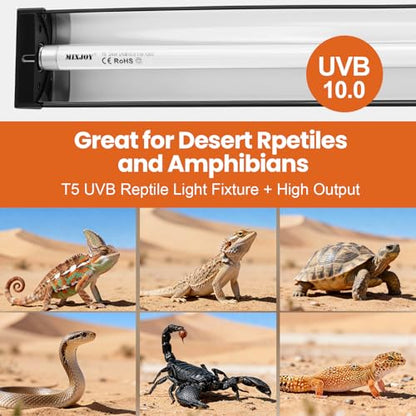 T5 HO UVB Reptile Light Fixture with 10.0 UVB Bulb, 24W High Output UVB Light for Reptiles, 22" T5 UVB Light Bar for Bearded Dragons, Tortoises, Iguanas, Desert Reptile UVB Lamp for Terrarium Lighting