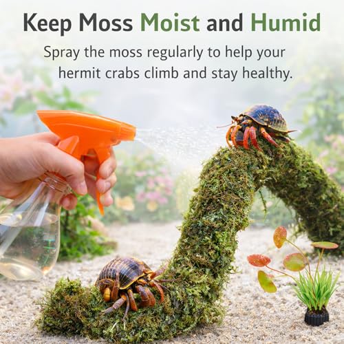 Mechpia Hermit Crab Accessories, Hermit Crab Climbing Toys Bendable Bridge Coconut Shell Hideout Hut Plants for Reptile Amphibians Supplies