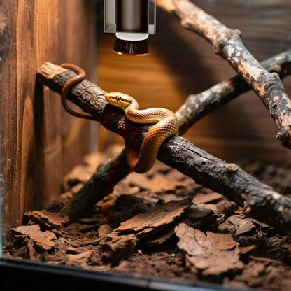 Reptile Ceramic Socket Heat Lamp Fixture, 2Pcs Terrarium Clamp Light Holder for Lizard, Gecko, Snake, Bearded Dragon, Dual On/Off Switch, 300W Max (Bulbs Not Included) - size: Concave Style