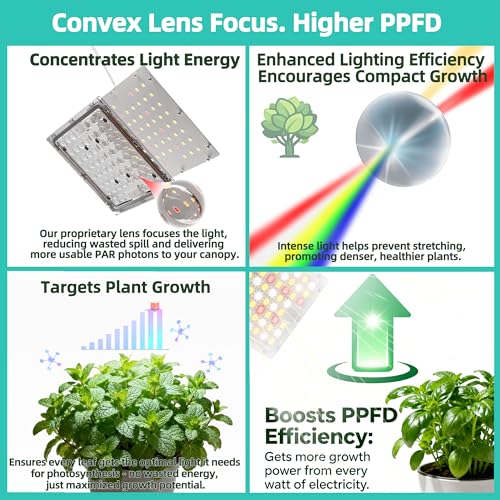 Dual Head Under Shelf Grow Light, Stick On LED Shelf Plant Light with Timer | Dual Head Under Cabinet Grow Light, Full Spectrum 3500K High PPFD LED for Plant Stands, Shelves & Multi-Plant Coverage - size: 2 Head 1 Pack Plus