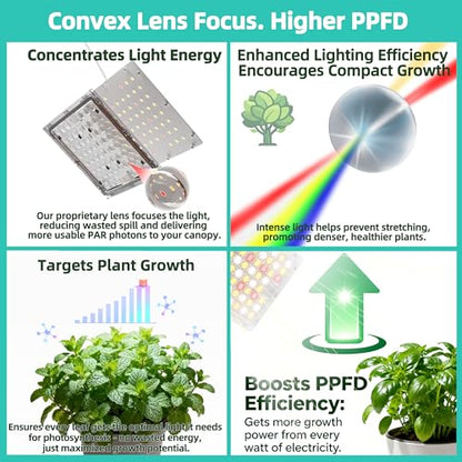 Dual Head Under Shelf Grow Light, Stick On LED Shelf Plant Light with Timer | Dual Head Under Cabinet Grow Light, Full Spectrum 3500K High PPFD LED for Plant Stands, Shelves & Multi-Plant Coverage - size: 2 Head 1 Pack Plus