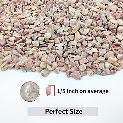 2LB Succulent and Cactus Gravel Pebbles, 1/5 Inch Stones Peach | Natural Decorative River Rocks for Plants, Vases, Aquariums, Terrarium and Outdoor Gardening - color: Peach, size: 2 Pounds