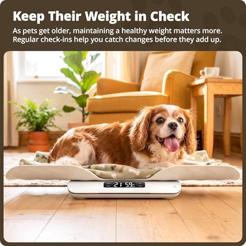Greater Goods Wiggle-Proof Digital Pet Scale for Cats, Dogs & Small Animals | Weighs Puppies, Kittens & Senior Pets up to 44 lb, Removable Tray, Tare Function, Measures in lb, oz & kg for Growth Tracking