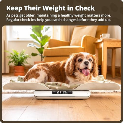 Greater Goods Wiggle-Proof Digital Pet Scale for Cats, Dogs & Small Animals | Weighs Puppies, Kittens & Senior Pets up to 44 lb, Removable Tray, Tare Function, Measures in lb, oz & kg for Growth Tracking