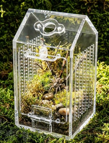 NiHome Clear Acrylic Jumping Spider Enclosure, Magnetic Tarantula Terrarium | Acrylic Praying Mantis Enclosure, Magnetic Opening Door & Feeding Port, Escape-Proof Reptile Habitat, 1.5mm Ventilation Holes