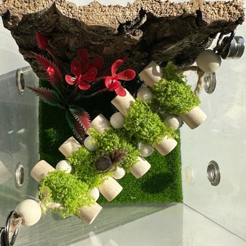 Jumping Spider Rope Bridge,Handmade Solid Wood Suspension Bridge with 2 Green Spider Webs, Decorative Accessory for Small Reptile Enclosures, Ideal for Jumping Spider Habitats