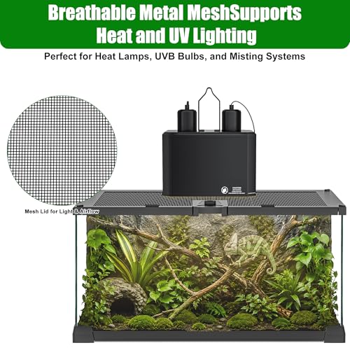 12" x 8" x 6" Small Glass Reptile Terrarium Tank | Top-Opening Mesh Lid with Latch, Fully Assembled Enclosure for Tarantulas, Frog, Isopods and Small Reptiles - size: 12" x 8" x 6"