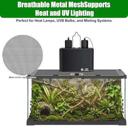 12" x 8" x 6" Small Glass Reptile Terrarium Tank | Top-Opening Mesh Lid with Latch, Fully Assembled Enclosure for Tarantulas, Frog, Isopods and Small Reptiles - size: 12" x 8" x 6"
