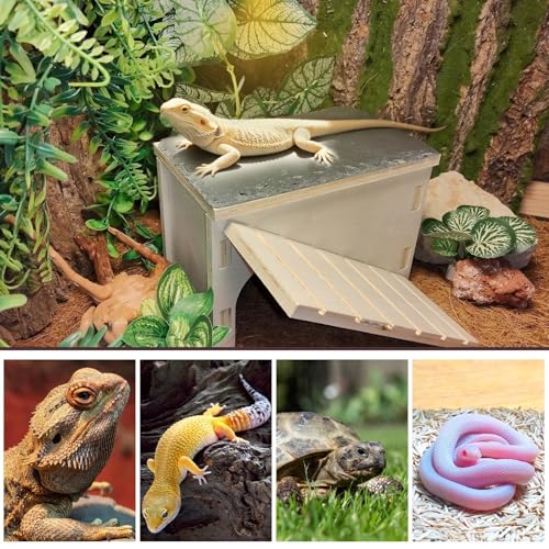 Bearded Dragon Basking Platform,Wooden Reptile Hide Cave with Slate Rock Climbing Ramp Tank Accessories for Leopard Geckos,Lizard,Snake,Tortoise (Small) - size: S:7.1×4.7×4.3"