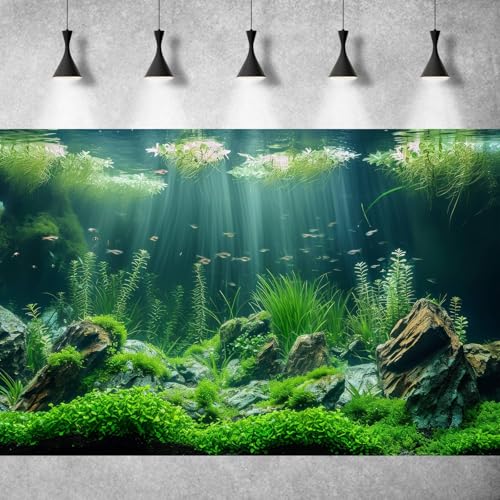 Underwater Aquarium Background Lush Green Aquatic Plants Fish Tank Background Rocks Stones with Moss Under The Sea Terrarium Background Tropical Underwater World Theme Aquarium Backdrop 24x16in - color: Green, size: 24(W)x16(H)in