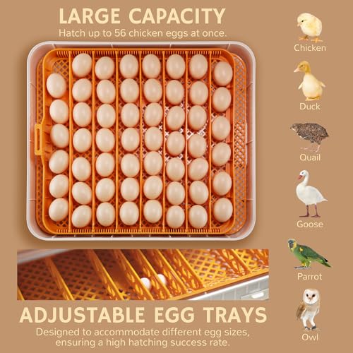 iPettie Nestasy ProHatch56 Egg Incubator with Automatic Egg Turning and Humidity Temperature Control, 56 Eggs Capacity for Hatching Eggs, Chicken Eggs, Duck Eggs, Temperature Adjustment and Alarms