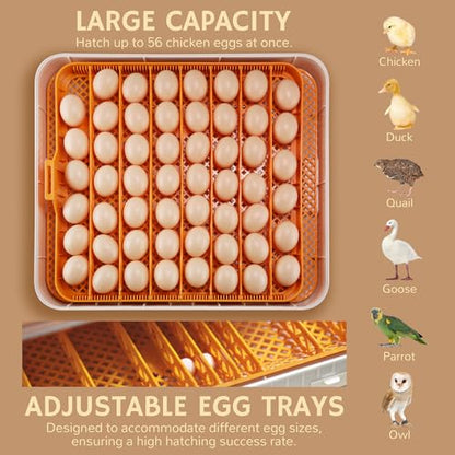 iPettie Nestasy ProHatch56 Egg Incubator with Automatic Egg Turning and Humidity Temperature Control, 56 Eggs Capacity for Hatching Eggs, Chicken Eggs, Duck Eggs, Temperature Adjustment and Alarms