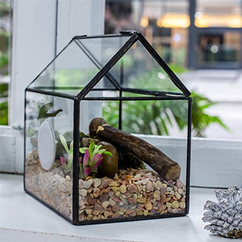 NCYP Small Glass Terrarium with lid for Air Plants Succulent - 5.9x4.4x6.4 Inches Handmade Geometric House Shape Close Glass Box for Snail, Black Tabletop Container (Glass Box Only)