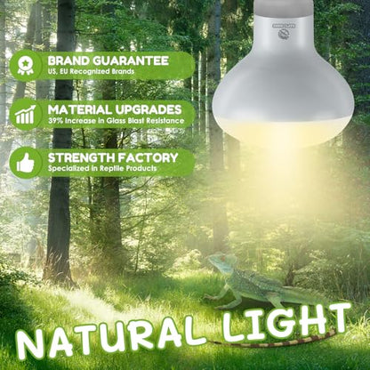 Reptile Heat Lamp Bulbs, 2 Pack 50W Simulate Natural Sunlight Heat Light Bulb, Amphibian Terrarium Basking Spot Lamp for Reptile, Bearded Dragon, Lizard, Turtle, Snake - color: Basking Bulb, size: Basking (2*50)