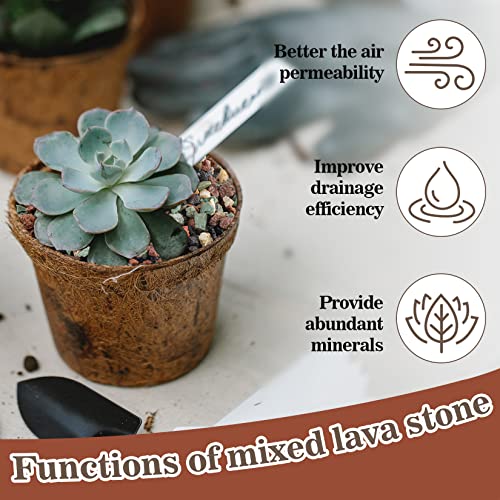 Sukh Mix Horticultural Lava Pebbles - Cactus Potting Soil Amendment 1LB | Horticultural Rocks, Succulent Cactus Bonsai Soil Rocks for Terrarium Plants, Decorative Gravel Plant Drainage Rock, 1LB