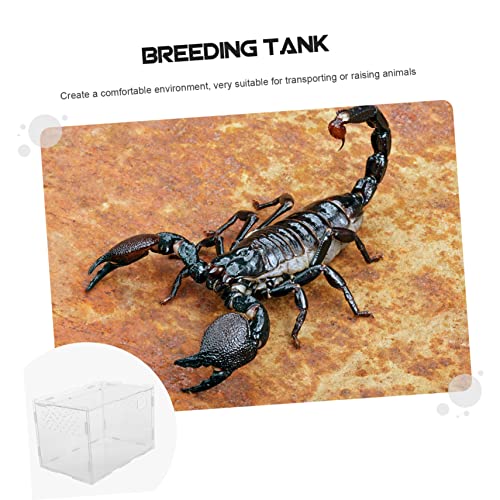1Pc Transparent Reptile Box Durable Habitat Container for Spiders Geckos Snakes Ventilated Design for Comfortable Living Space for Pet Transport and Display