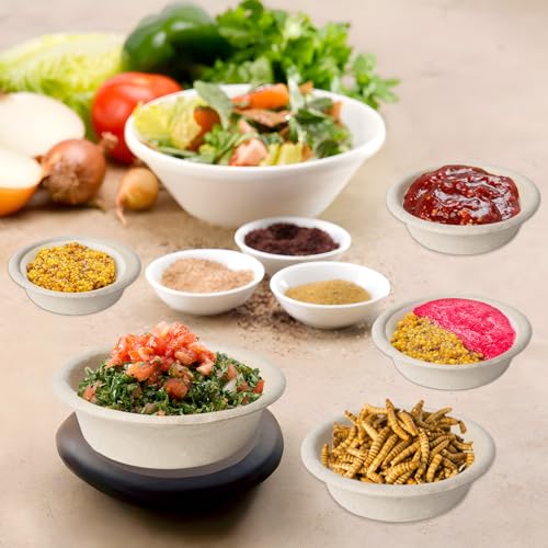 Klmnop 300 Pack 1oz Paper Gecko Food Cups, Reptile Feeding Dish, Food Bowl Ledge Accessories for Crested Gecko Reptiles Pets(Natural)