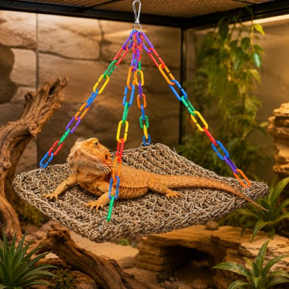 Reptile Hammock Lizard 、Parrot Basking Platform, Size L | Aquarium Grass Woven, Rainbow Chain Hammock, Bird Perch Swing Toy, Climbing Ladder for Bearded Dragon Gecko Chameleon - size: L