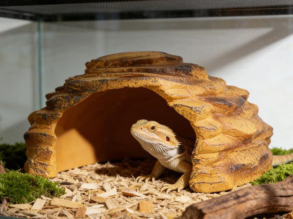 Reptile Rock Hide Cave Hiding Place,Rock Basking Platform,Terrarium & Aquarium Decor,Reptile hideout,Great for Lizards,Snakes,Turtles,Geckos,Frogs,Amphibians,Small Animals - Lagrge Size(Yellow-Orange) - style: StyleA-Yellow(Large Size)