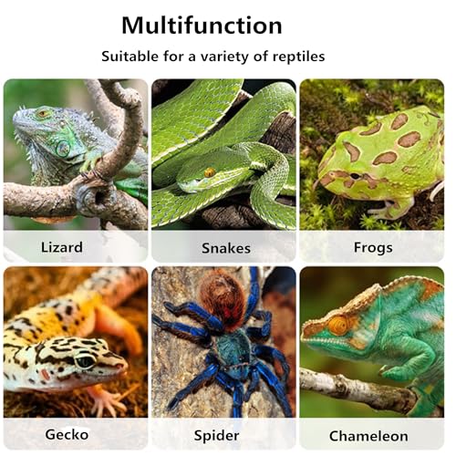 alfyng Bearded Dragon Frog Lizard Hammocks, Reptile Hammock with Suction Cups & Tie Straps, Hanging Swing Cradle for Chameleon, Lizards, Geckos, Snakes, Lguana, Reptile & Amphibian Habitat Décor - size: Small