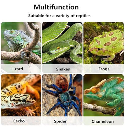 2 in1 Bearded Dragon Hammock with Suction Cups, Plastic Frog Lizard Hammocks, Hanging Swing Cradle for Chameleon, Lizards, Geckos, Snakes, Lguana, Reptile & Amphibian Habitat Décor (Green, Large) - size: Large