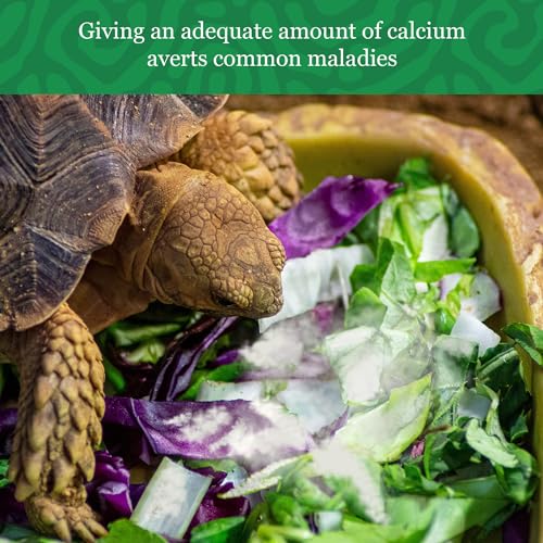 CoCoo Reptile Calcium Powder, Ideal for Leopard Geckos, Chameleons, Iguanas, Turtles, Chicken & Dog, Avoid Vitamin D3 Overdose in Bearded Dragons, Lizards Love It, Energy-Rich Additional Feed, 2 oz.