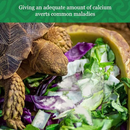 CoCoo Reptile Calcium Powder, Ideal for Leopard Geckos, Chameleons, Iguanas, Turtles, Chicken & Dog, Avoid Vitamin D3 Overdose in Bearded Dragons, Lizards Love It, Energy-Rich Additional Feed, 2 oz.