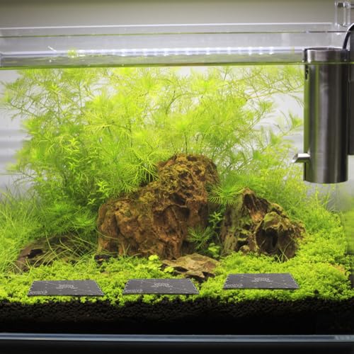 balacoo 20 Pcs Aquarium Undergravel Plate, Aquarium Bottom Plate, Fish Tank Sand Divider, PVC Sand Gravel Board for Fish Tank Accessory (Black)