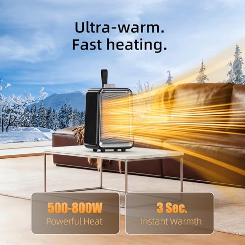 Electric Space Heater, Small Desk Heater for Indoor Use, 2-Speed Portable Heater with Overheat and Tip-Over Protection, Safe and Quiet Ceramic Heater for Offcie, Bedroom(Black) - color: Black