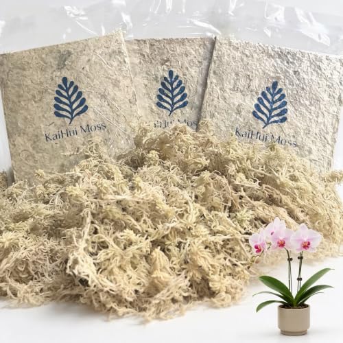 8OZ Compressed Dry Long Fiber Sphagnum Moss, Orchid Moss for Phalaenopsis, Carnivorous Plants & Reptile Terrariums