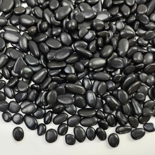 FANTIAN Black Pebbles for Indoor Plants, 3/8 inch Small Bag Stones, Decorative River Rocks for Succulent Potted Plant, Vase and Outdoor Landscaping Garden(16 oz) - size: 1 pound, style: Black
