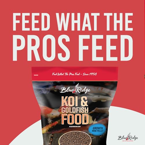 Blue Ridge Koi Fish Food 5lb - Koi Food Mini Growth Formula, Goldfish Food, Premium Fish Food for Ponds, Ponds Fish Food, Floating Pond Pellets - size: 5 Pound (Pack of 1)