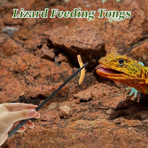 Reptile Feeding Tongs, Stainless Steel Lizard Feeding Tongs, Aquarium Straight Feeding Tweezers for Reptiles with Rubber Tip, Terrarium Feeding Tong for Gecko, 10.63" Length, Black - size: 10.63"