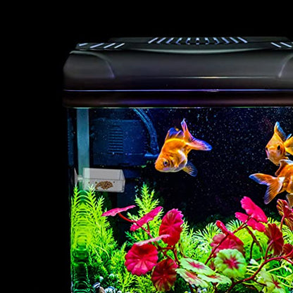 GANAZONO 6pcs Reptiles Food Dishes Feeder Bowls Square Dishes Trays Fish Tank Suction Cups Shrimp Feeder Aquarium Accessories