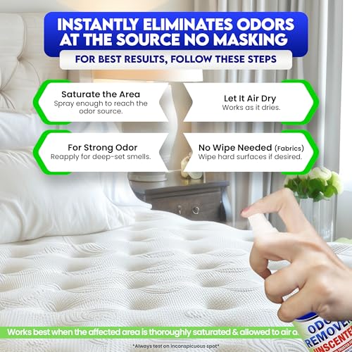 ZORBX Unscented Odor Eliminator Spray 2 Oz 24-Pack, Bulk, Hospital-Grade | Permanent Odor Remover for Incontinence, Pet & Human Urine, Strong Odors, Carpet, Fabric, Upholstery, Home & Commercial Use - size: 2 Fl Oz (Pack of 24)