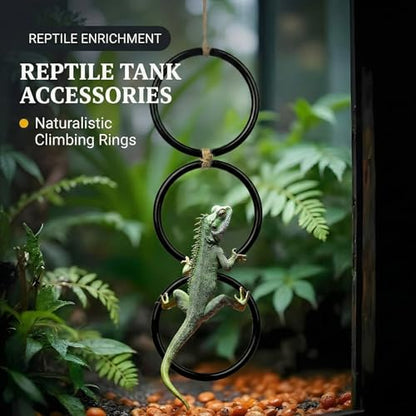 2PCS Snake Climbing Rings for Ball Python - Enrichment Toys for Corn Snake | Reptiletank Cage Decor Habitat Accessories | Terrarium, Bearded Dragon, Chameleon, Iguana, Gecko, Lizard, Parrot