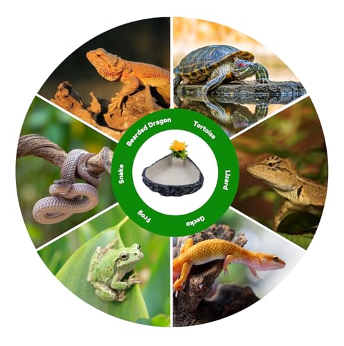 Reptile Corner Food Bowl Water Dish,Snake Feed Dish with Artificial Plant Reptile Water Bowl Terrariums for Bearded Dragon Tortoise Chameleon Hermit Crabs Turtle Leopard Gecko Frog