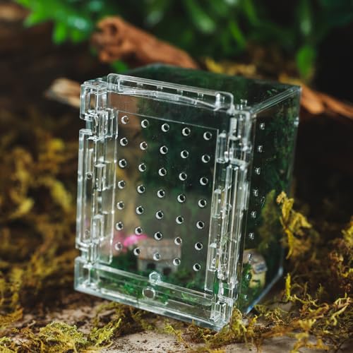Acrylic Jumping Spider Enclosure -Clear Reptile Habitat Box for Tarantula, Mantis, Insects, Snail, Frog, Caterpillar – Ventilated Mini Terrarium Display Case with Lock Lid & Feeding Port