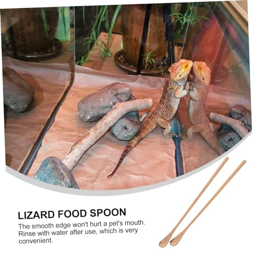 HANABASS 2pcs Lizard Food Scoop Reptile Feeder Pet Supply Small Pet Feeding Spoon for Animals - color: Rose Gold