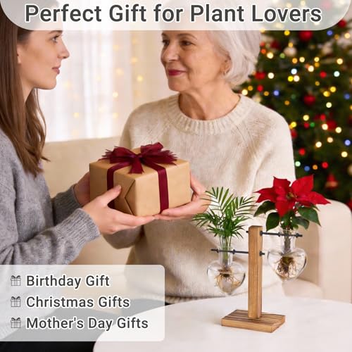 Mkono Propagation Stations,2 Heart Shaped Glass Plant Vases with Wood Stand | Hydroponic Terrarium, Desktop Propagation Jars, Cute Air Plant Flower Holder,Home Office Decor, Plant Lover Gardening Gift - size: 2 Heart Bulb Vase