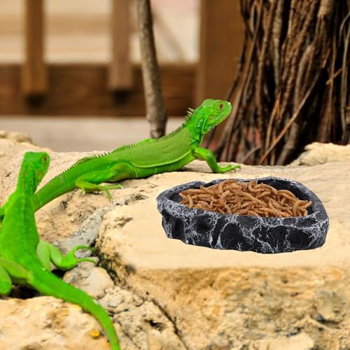 3 Pack Reptile Water Dish, Samll Snake Water Bowl, Bearded Dragon Food Dish | Leopard Crested Gecko Tank Accessories, Feeding Dish Kit for Tortoise, Lizard, Frog, Hermit Crab