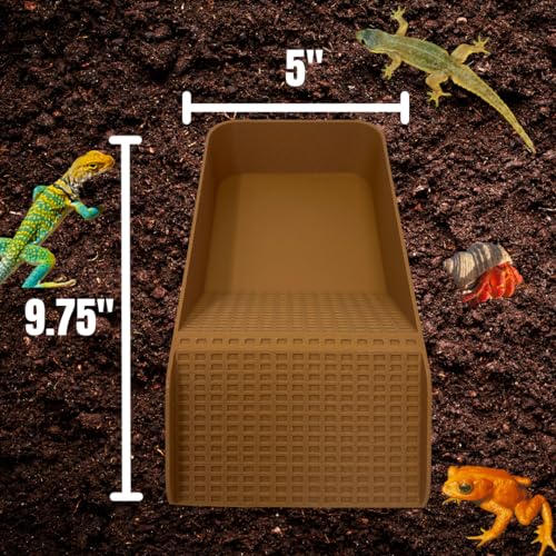 Hermit Crab, Lizard, Turtle, Amphibian XL Watering Pool | Platform Pool Accessory with Access Ramp for Pet Habitats | 9.75" x 5" | Made in USA (X-Large) (Salt + Fresh, Tan) - color: Salt + Fresh, Tan