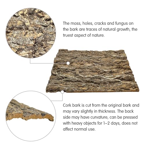 kathson 2Pcs 11.8” L x 11.8” W Cork Tile Background Bark Terrarium Backdrop Wall Decor Cork Bark for Reptiles Reptile Climbing Mat for Spider Gecko Lizard Bearded Chameleon Dragon Turtle Snake