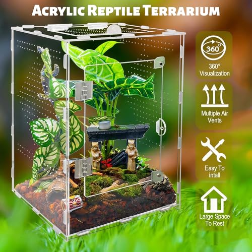Large Jumping Spider Enclosure, Acrylic Ventilated Terrarium with Magnetic Front and Top Doors, 8.5x8.5x12 Inch, Transparent, Lockable (Large Size) - size: Large Size