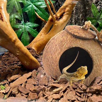 Crested Gecko Coconut Hide Natural Lizard Coco Hut Reptile Hanging Nest Flexible Vine Habitat Decoration Bearded Dragon Terrarium Accessories for Chameleon Tree Frog Snake Hermit Crab - style: 【Style A】