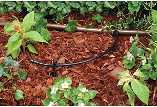 Rain Bird T22-50S Drip Distribution Tubing, 1/4" - size: 50' Roll (Pack of 1), style: Distribution Tubing